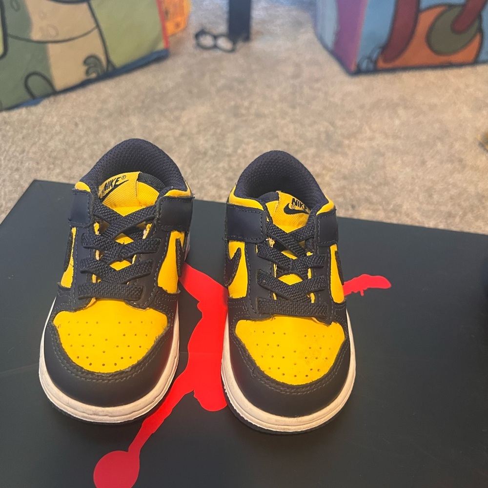 Kids Michigan dunks